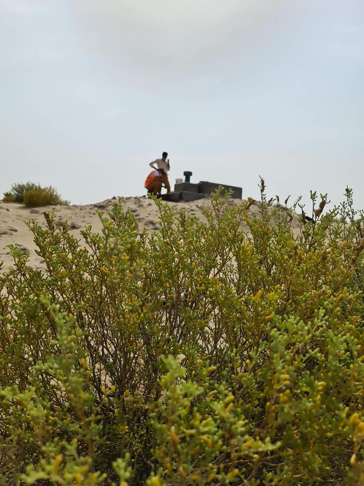 Field team at a desert control point in Dubai